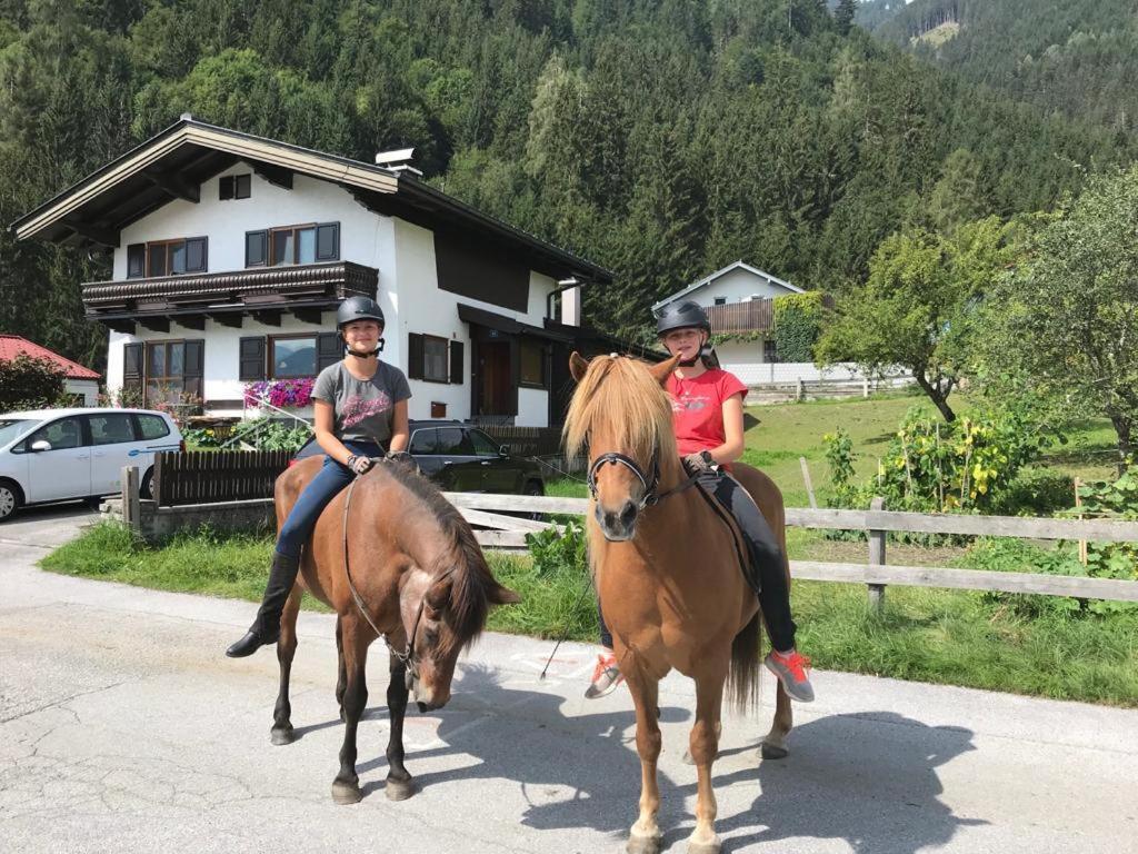 ホテル Hettlerhof マイスホーフェン エクステリア 写真